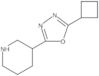 3-(5-Cyclobutyl-1,3,4-oxadiazol-2-yl)piperidine