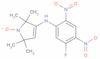 3-(5-fluoro-2,4-dinitroanilino)-1-oxyl-2,2,5,5-tetramethyl-3-pyrrolidine