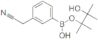 (3-Cyanomethylphenyl)boronic acid