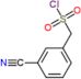 (3-cyanophenyl)methanesulfonyl chloride