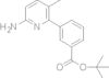 1,1-Dimethylethyl 3-(6-amino-3-methyl-2-pyridinyl)benzoat