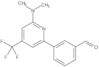 3-[6-(Dimethylamino)-4-(trifluoromethyl)-2-pyridinyl]benzaldehyde