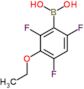 (3-ethoxy-2,4,6-trifluorophenyl)boronic acid