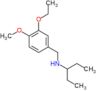 N-(3-ethoxy-4-methoxybenzyl)pentan-3-amine