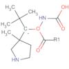 Carbamic acid, [(3-methyl-3-pyrrolidinyl)methyl]-, 1,1-dimethylethyl ester