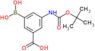 3-Borono-5-[[(1,1-dimethylethoxy)carbonyl]amino]benzoic acid