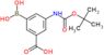 3-borono-5-(tert-butoxycarbonylamino)benzoic acid
