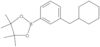 1,3,2-Dioxaborolane, 2-[3-(cyclohexylmethyl)phenyl]-4,4,5,5-tetramethyl-