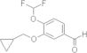 3-(Cyclopropylmethoxy)-4-(difluoromethoxy)benzaldehyde