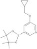 3-(Cyclopropylmethoxy)-5-(4,4,5,5-tetramethyl-1,3,2-dioxaborolan-2-yl)pyridine