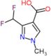 3-(difluoromethyl)-1-methyl-1H-pyrazole-4-carboxylic acid