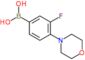 (3-fluoro-4-morpholino-phenyl)boronic acid