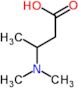 3-(dimethylamino)butanoic acid