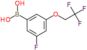 [3-fluoro-5-(2,2,2-trifluoroethoxy)phenyl]boronic acid