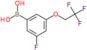 B-[3-Fluoro-5-(2,2,2-trifluoroethoxy)phenyl]boronic acid