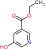 ethyl 5-hydroxypyridine-3-carboxylate