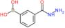 [3-(hydrazinecarbonyl)phenyl]boronic acid