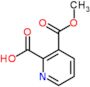 3-(Methoxycarbonyl)pyridine-2-carboxylic acid