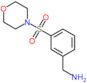 1-[3-(morpholin-4-ylsulfonyl)phenyl]methanamine