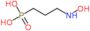 [3-(hydroxyamino)propyl]phosphonic acid