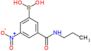 [3-nitro-5-(propylcarbamoyl)phenyl]boronic acid