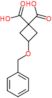 3-(benzyloxy)cyclobutane-1,1-dicarboxylic acid