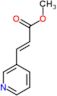 methyl (2E)-3-pyridin-3-ylprop-2-enoate