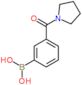 [3-(pyrrolidin-1-ylcarbonyl)phenyl]boronic acid