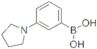 3-(Pyrrolidino)Phenylboronic acid