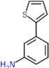 3-thiophen-2-ylaniline