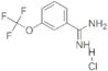 3-(Trifluoromethoxy)benzimidamide(HCl)