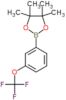 4,4,5,5-tetramethyl-2-[3-(trifluoromethoxy)phenyl]-1,3,2-dioxaborolane