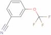 m-(Trifluoromethoxy)benzonitrile