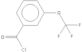 3-(trifluoromethoxy)benzoyl chloride
