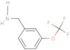 3-(trifluoromethoxy)benzylamine
