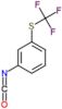 1-isocyanato-3-[(trifluoromethyl)sulfanyl]benzene