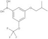 B-[3-(2-Methylpropoxy)-5-(trifluoromethoxy)phenyl]boronic acid