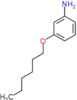 3-(hexyloxy)aniline