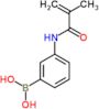 {3-[(2-methylacryloyl)amino]phenyl}boronic acid