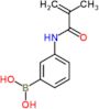 3-Methacrylamidophenylboronic acid