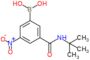 [3-(tert-butylcarbamoyl)-5-nitro-phenyl]boronic acid