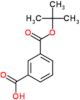 3-(tert-butoxycarbonyl)benzoic acid