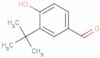 3-(1,1-Dimethylethyl)-4-hydroxybenzaldehyde