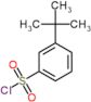 3-(1,1-Dimethylethyl)benzenesulfonyl chloride