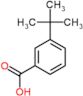 3-tert-butylbenzoic acid