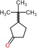 3-tert-butylcyclopentanone