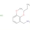 Benzenemethanamine, 3-methoxy-2-propoxy-, hydrochloride