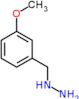 (3-methoxybenzyl)hydrazine dihydrochloride