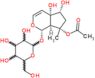 8-O-Acetylharpagide