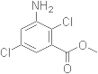 Chloramben methyl